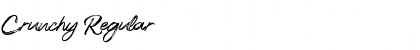 Download Crunchy Font