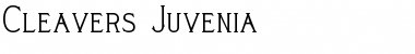 Cleaver's_Juvenia Normal Font