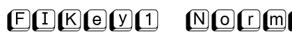 FIKey1 Normal preview