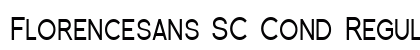 Florencesans SC Cond Regular preview