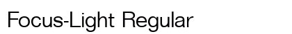 Focus-Light Regular preview