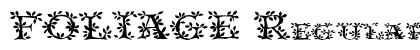FOLIAGE Regular preview