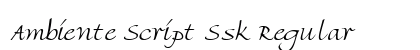 Ambiente Script Ssk Regular