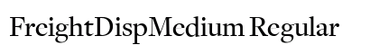 FreightDispMedium Regular preview