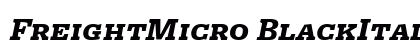 FreightMicro BlackItalicSC Preview