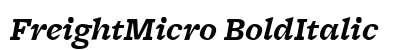 FreightMicro BoldItalic Preview