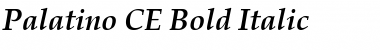 Download Palatino CE Font Download Palatino CE Font