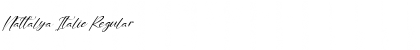 Nattalya Italic Font