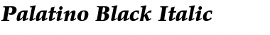 Palatino-Black BlackItalic Font