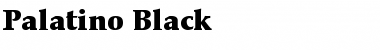 Palatino-Black Black Font