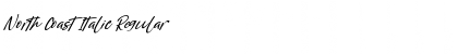 Download North Coast Italic Font