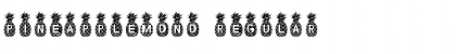 Pineapple_Mono Regular Font