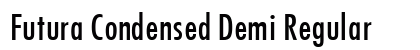 Futura Condensed Demi Regular