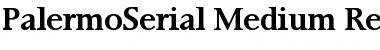 PalermoSerial-Medium Regular Font
