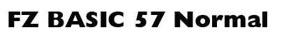 FZ BASIC 57 Normal preview