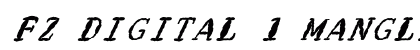 FZ DIGITAL 1 MANGLED ITALIC Normal preview