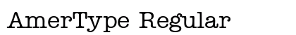 AmerType Regular preview