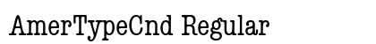 AmerTypeCnd Regular preview