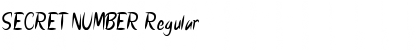 SECRET NUMBER Font