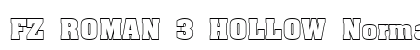 FZ ROMAN 3 HOLLOW Normal preview