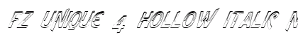 FZ UNIQUE 4 HOLLOW ITALIC Normal preview