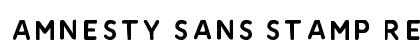 Amnesty Sans Stamp Regular