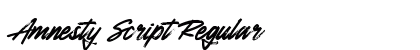 Amnesty Script Regular
