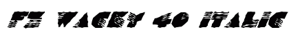 FZ WACKY 40 ITALIC Normal preview