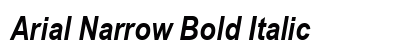 Arial Narrow Bold Italic Font Arial Narrow Bold Italic Font Preview