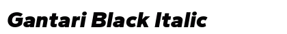 Gantari Black Italic Preview