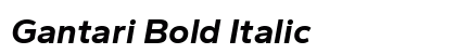 Gantari Bold Italic Preview