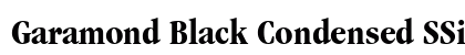 Garamond Black Condensed SSi Black Condensed preview