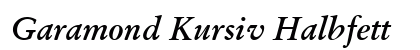 Garamond Kursiv Halbfett Preview