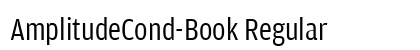 AmplitudeCond-Book Regular preview