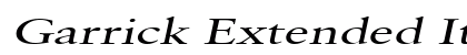 Garrick Extended Italic preview