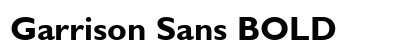Garrison Sans BOLD Preview