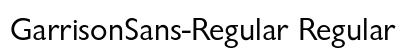 GarrisonSans-Regular Regular preview