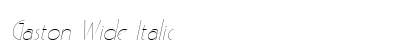 Gaston Wide Italic preview
