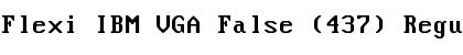 Flexi IBM VGA False (437) Font