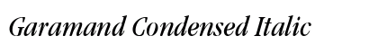 Garamand Condensed Italic preview