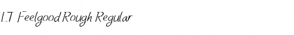 LT Feelgood Rough Font
