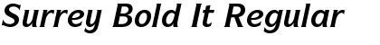 Surrey Bold It Font