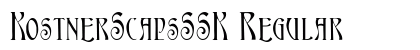 KostnerScapsSSK Regular preview