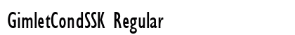 GimletCondSSK Regular preview