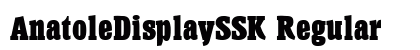 AnatoleDisplaySSK Regular