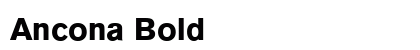 Ancona Bold