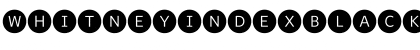 WhitneyIndexBlack RoundLt1 Font WhitneyIndexBlack RoundLt1 Font