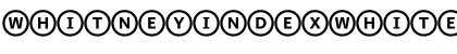 WhitneyIndexWhite RoundBd Font WhitneyIndexWhite RoundBd Font