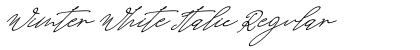 Wimter White Italic Font