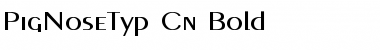 Download PigNoseTyp Cn Bold Font